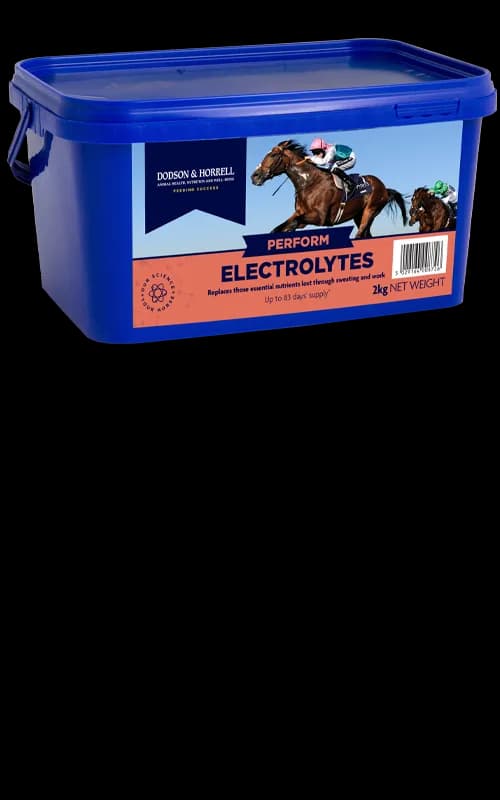 Dodson & Horrell Electrolytes 2 kg — zdjęcie 2