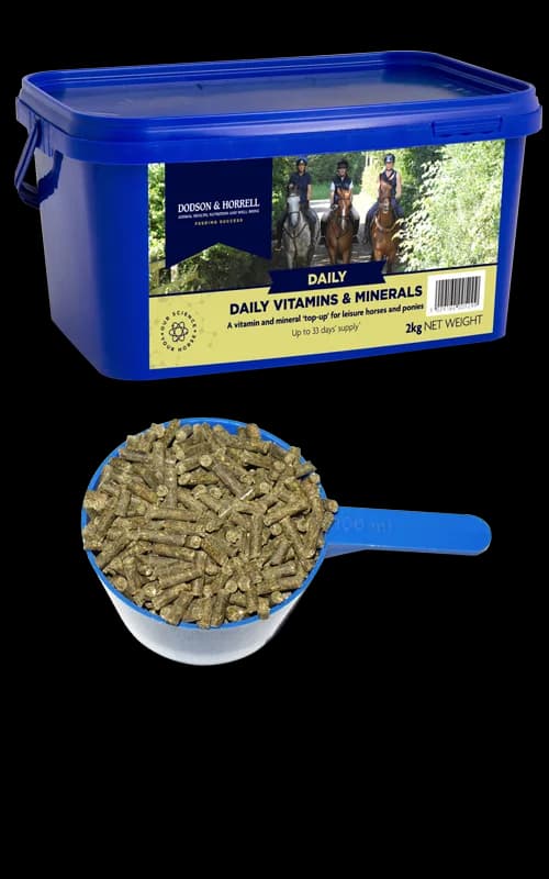 Dodson & Horrell Daily Vit.&Min.2kg — zdjęcie 2
