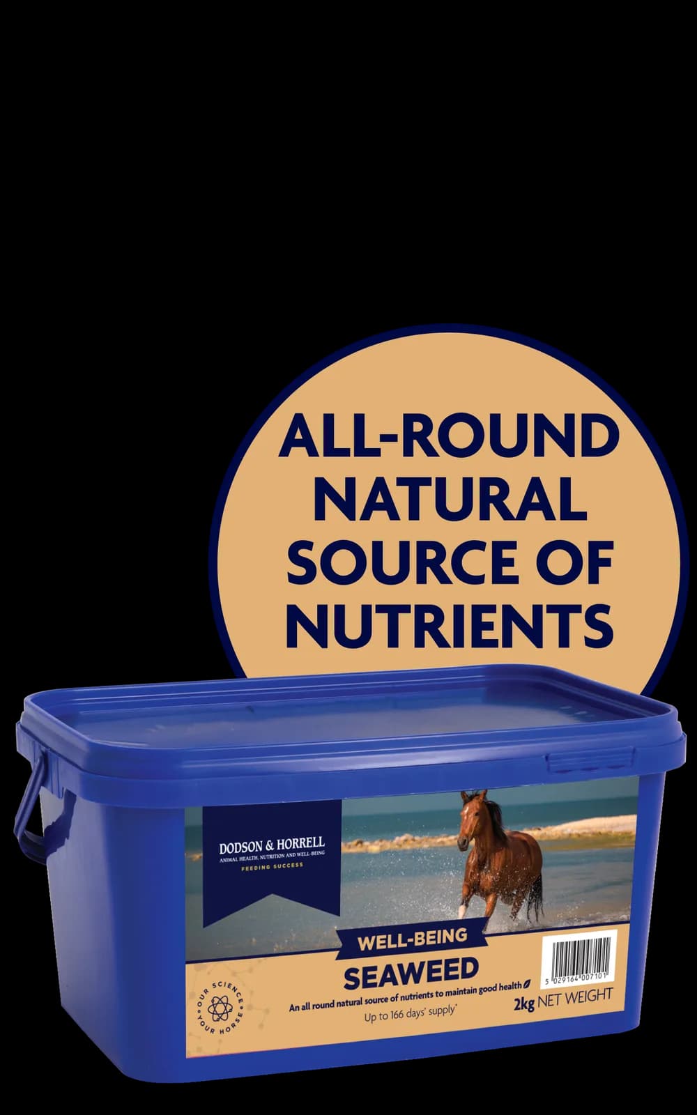 Dodson & Horrell Seaweed 2 kg - suplement dla koni z algami morskimi