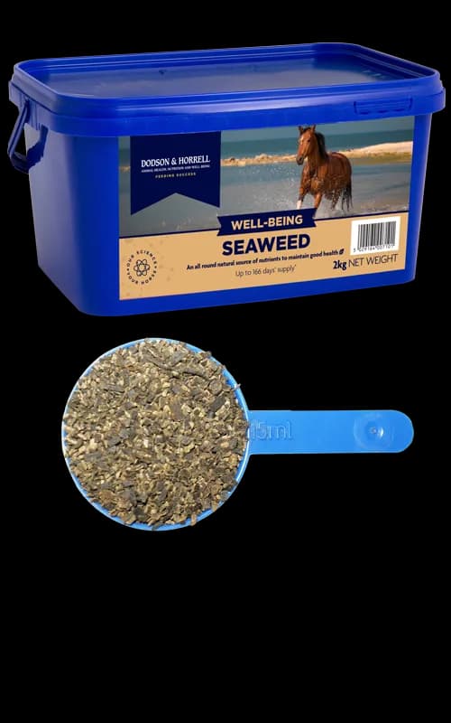 Dodson & Horrell Seaweed 2 kg — zdjęcie 2