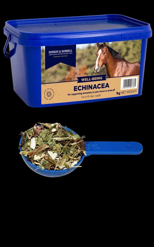 Dodson & Horrell Echinacea 1 kg — zdjęcie 2