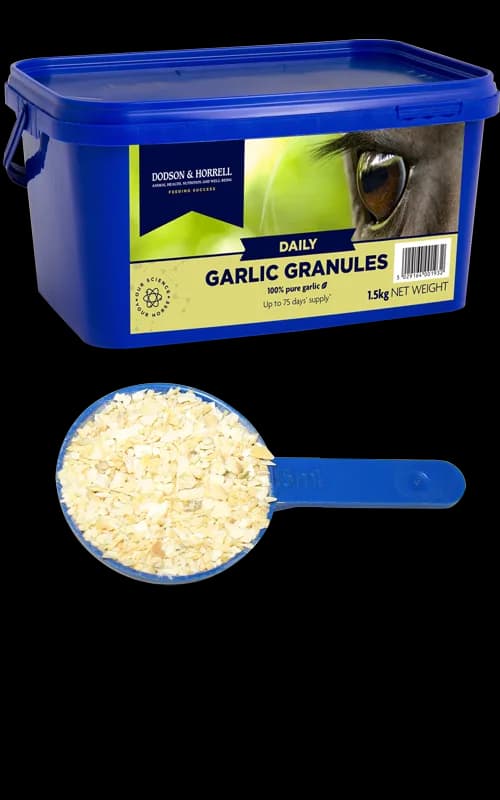Dodson & Horrell Garlic Granules 1,5 kg — zdjęcie 2