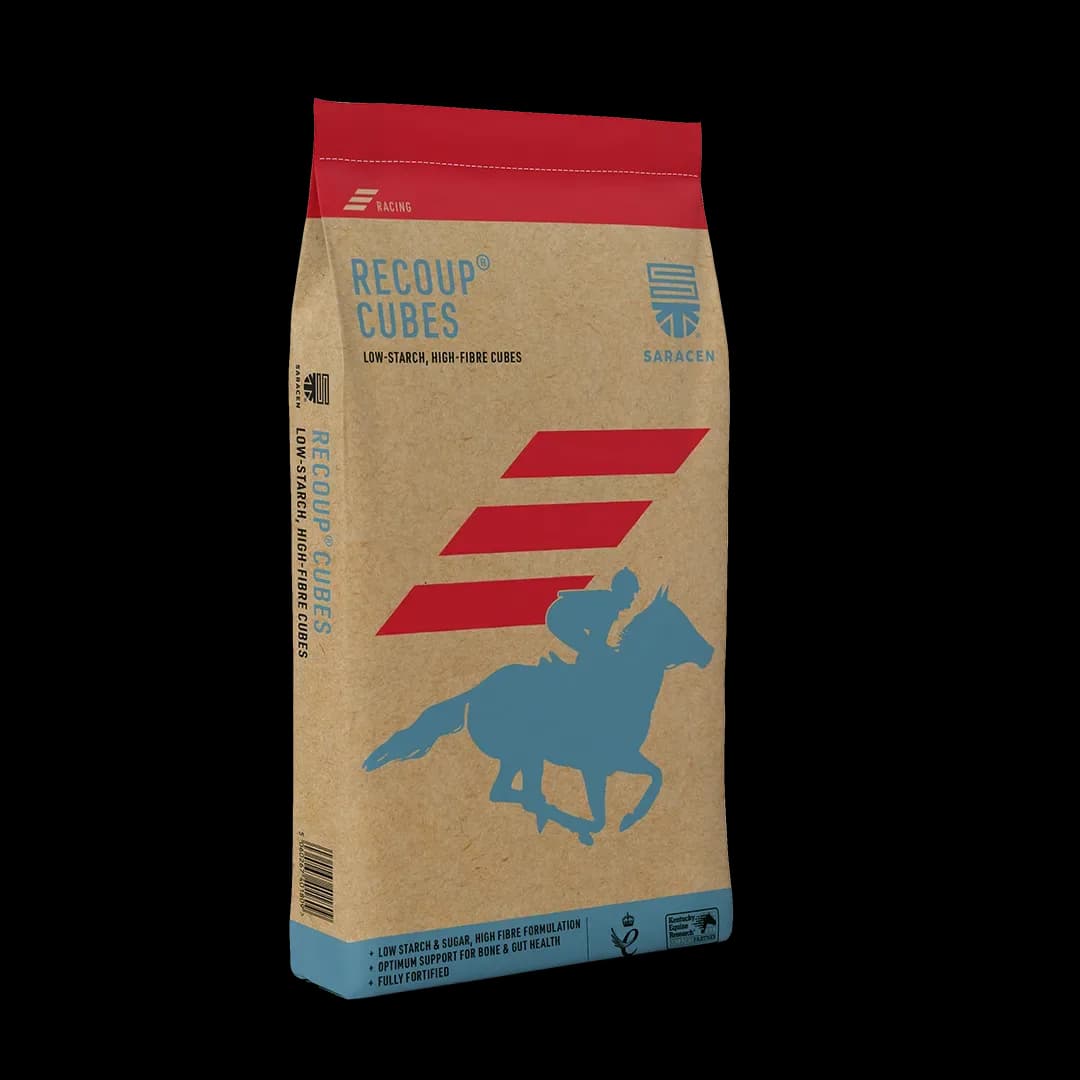 SARACEN Recoup Cubes 20 kg