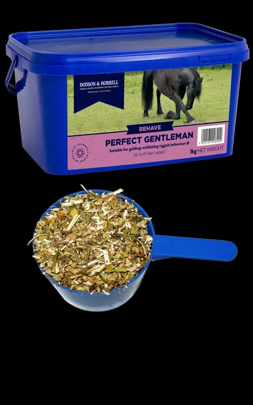 Dodson & Horrell Perfect Gentleman 1kg — zdjęcie 2