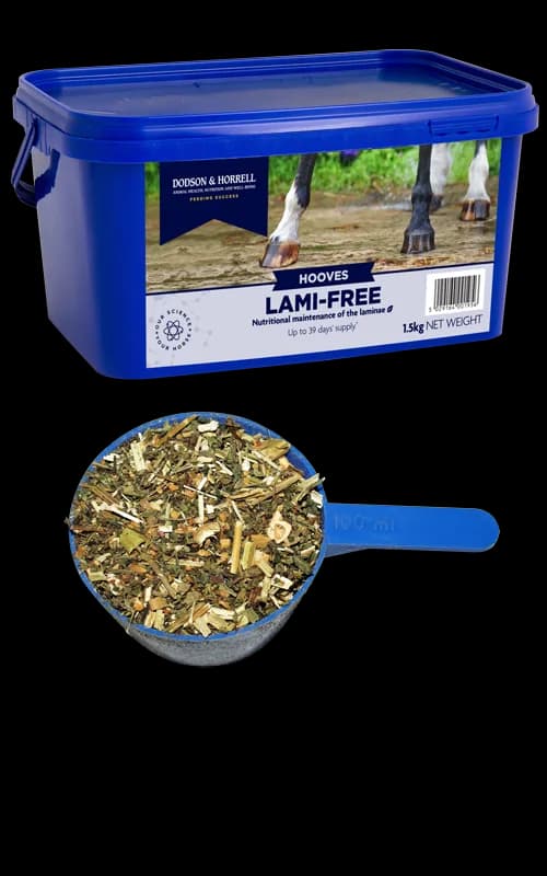 Dodson & Horrell Lami-Free 1,5 kg — zdjęcie 2