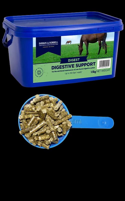 Dodson & Horrell Digestive Support 1,5 kg — zdjęcie 2
