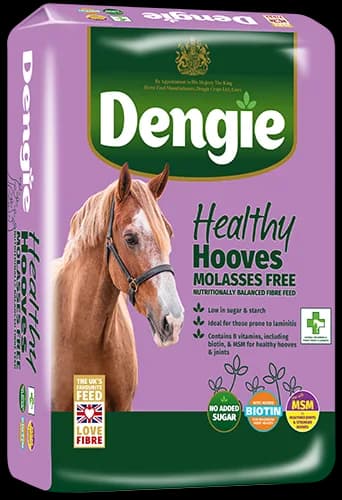 Dengie Healthy Hooves Molasses Free z MSM 20 kg - sieczka dla koni z dodatkiem biotyny