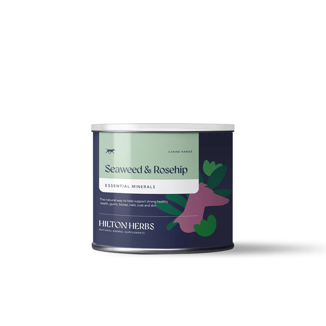 Hilton Herbs Seaweed & Rosehip 60g - suplement dla psów wspierający układ odpornościowy