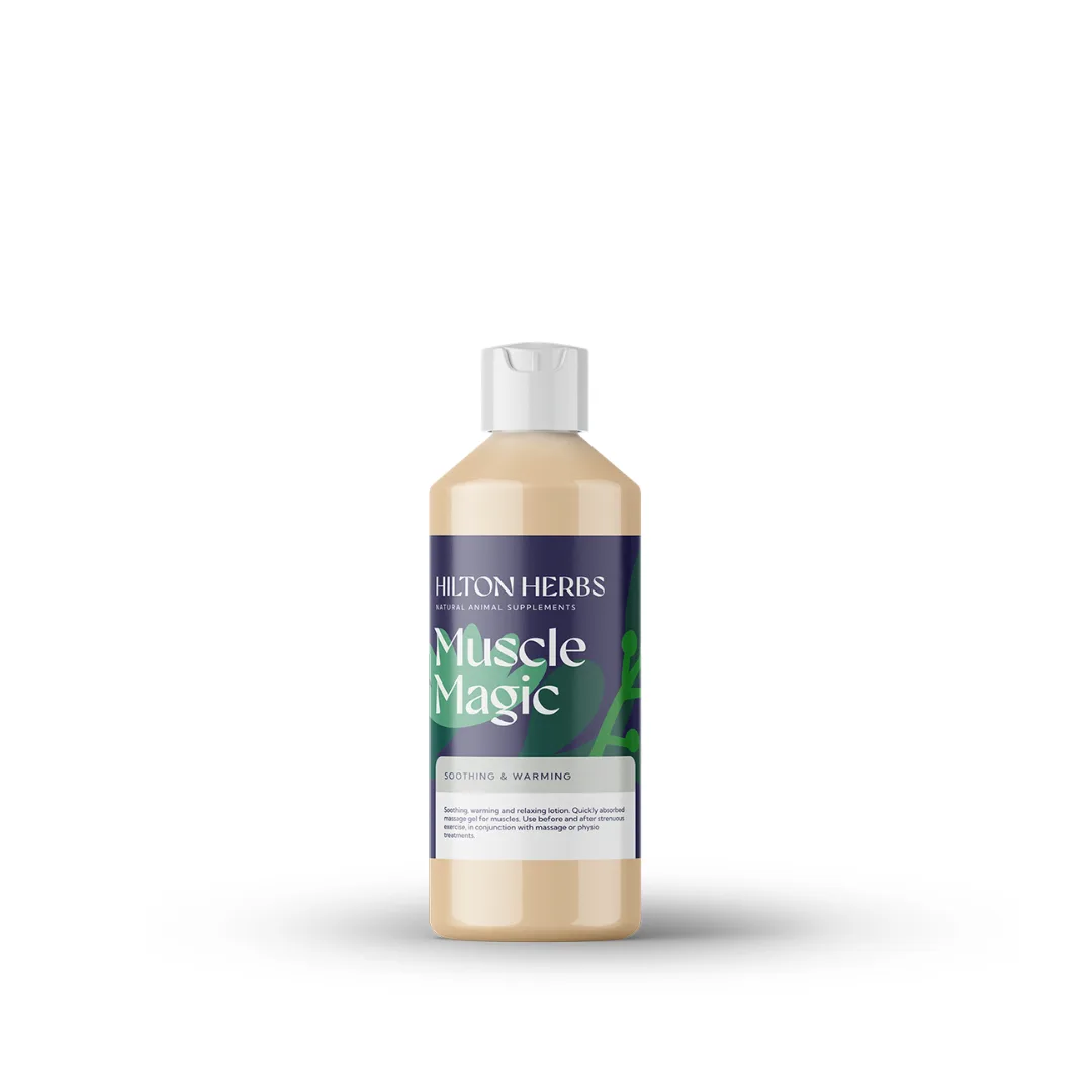 Hilton Herbs Muscle Magic 250 ml - ziołowy balsam dla koni do stosowania po treningu