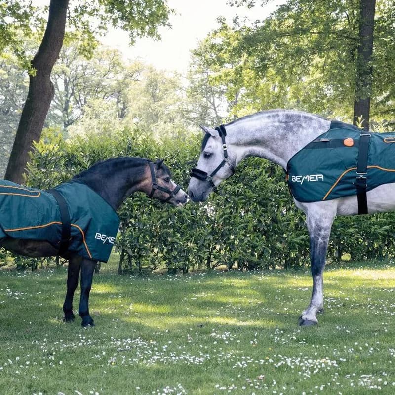 Zestaw BEMER Horse — zdjęcie 2