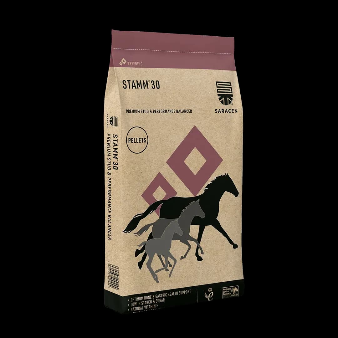 SARACEN Stamm 30 Concentrate 20 kg