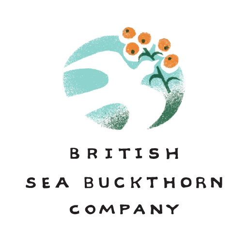 Logo BSC