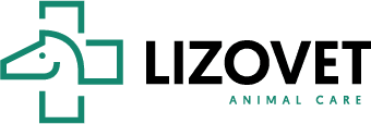Logo Lizovet