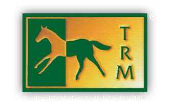 Logo TRM